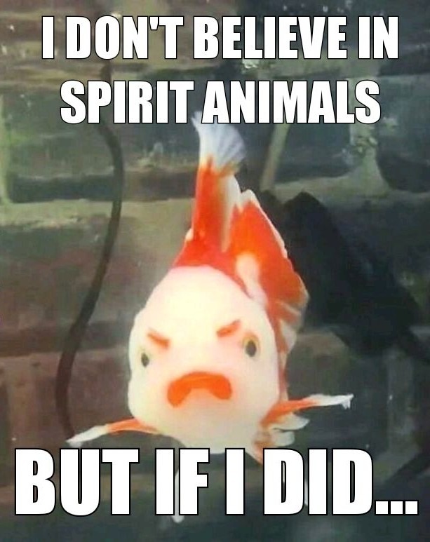Spirit Animal - meme