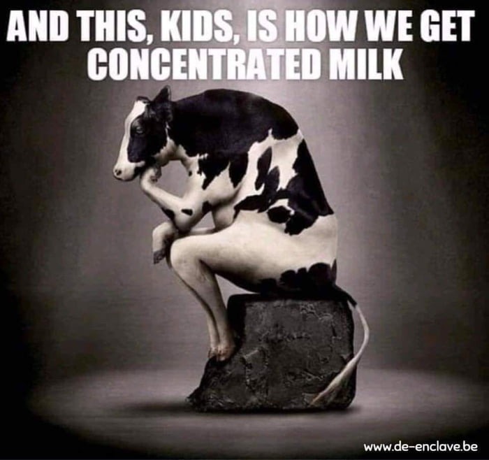 Concentrated milk - meme