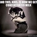 Concentrated milk