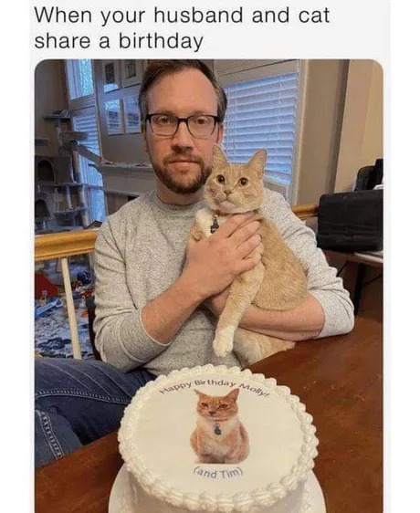 Husband and cat share a birthday - meme