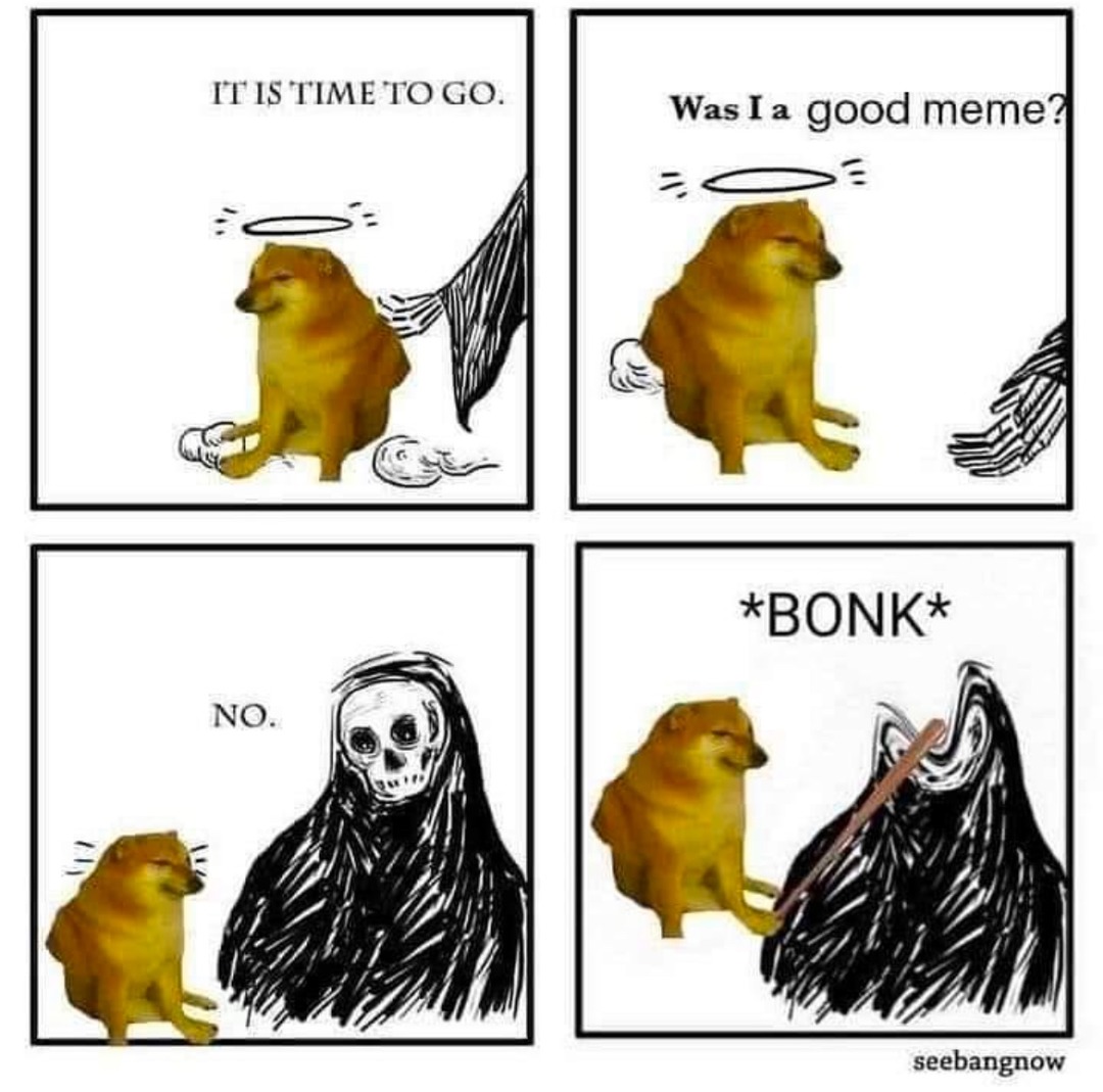 Bonk - meme