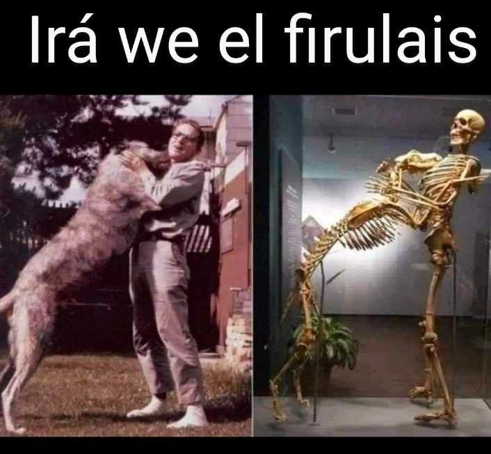 titulo - meme