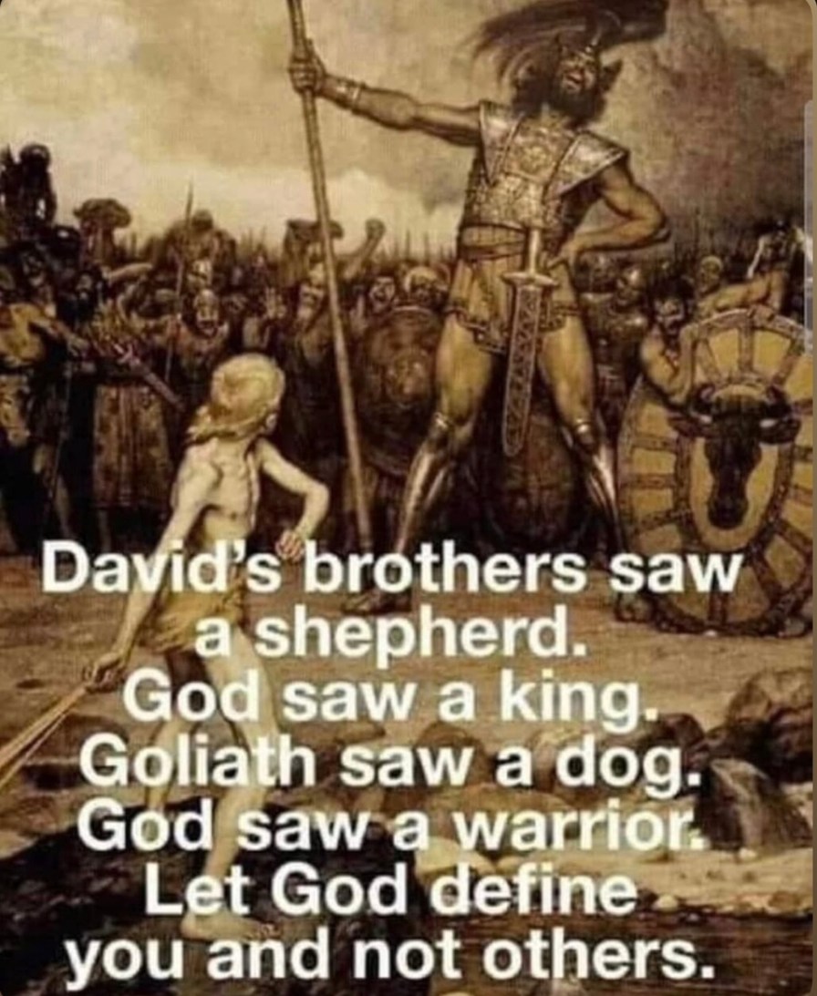 God saw a king when everyone else saw a shepherd - meme