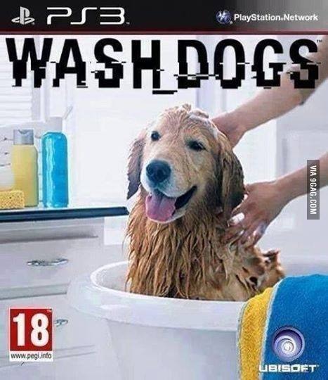 wash dogs .... - meme