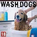 wash dogs ....