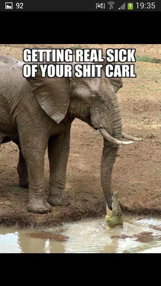 Poor Carl :'( - meme