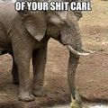 Poor Carl :'(