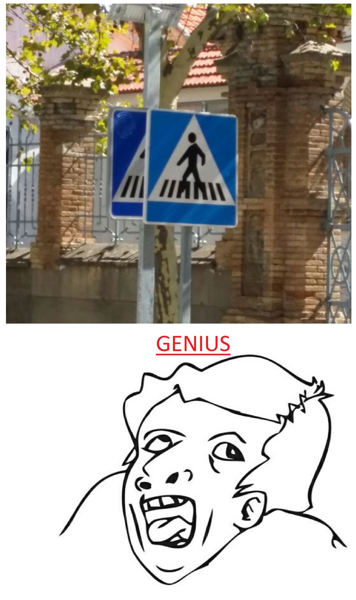 Genius 2000 - meme