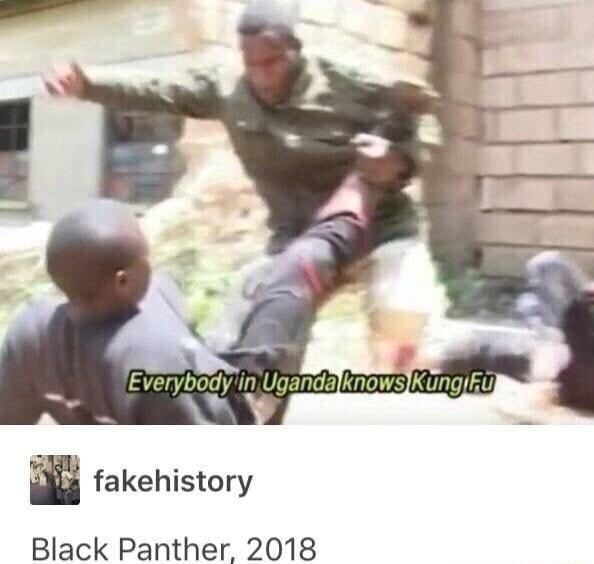 Black Panther is overhyped tbh - meme