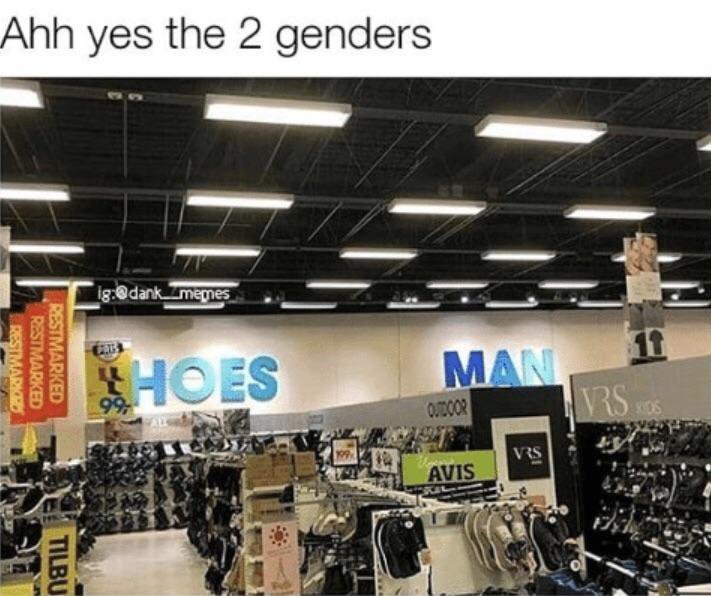 El famoso two genders 2 - meme