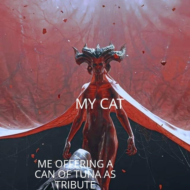 please accept this tuna - meme