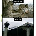 Gargolas rusas vs francesas