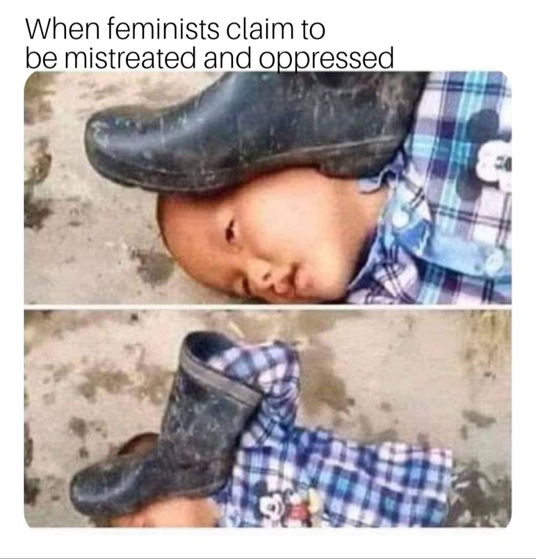 Feminists are their own worst enemy - meme