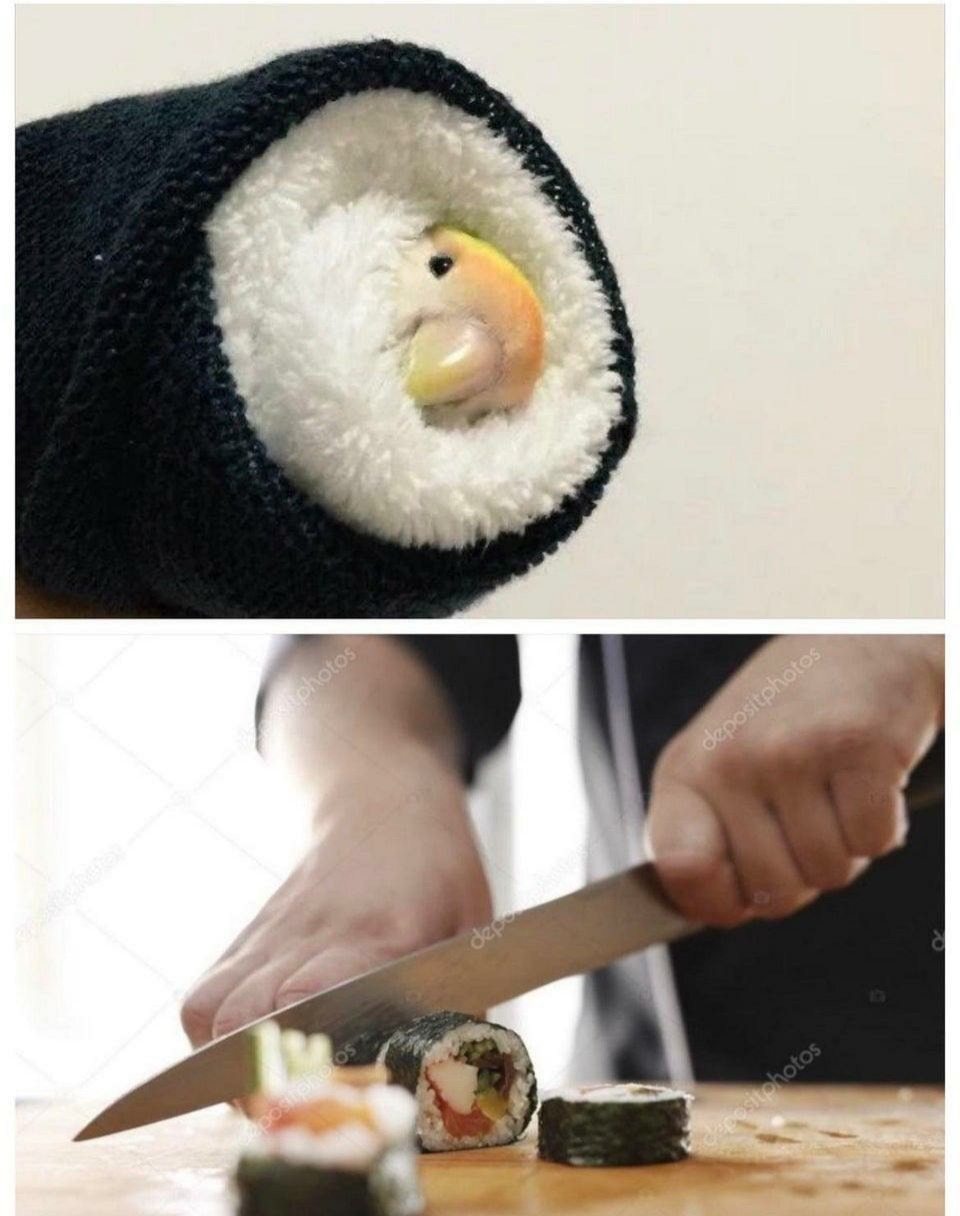 Birb sushi - meme