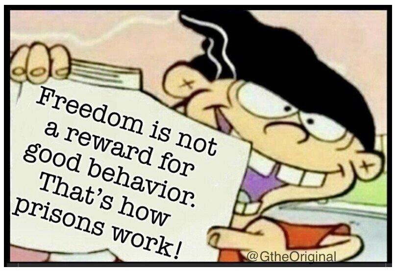 Freedom doesn't work like that - meme
