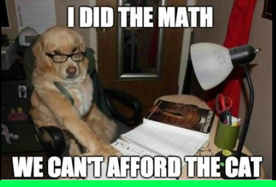 Math for cats dont work out with dogs - meme