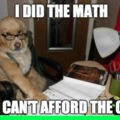Math for cats dont work out with dogs