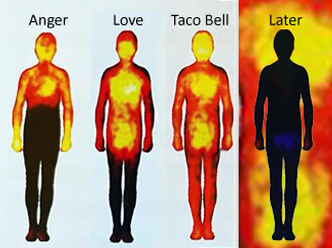 Body heat map - meme