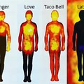 Body heat map