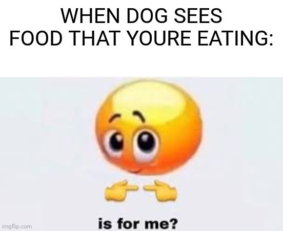 dog Sees your food - meme