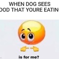 dog Sees your food