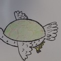 Turtledove