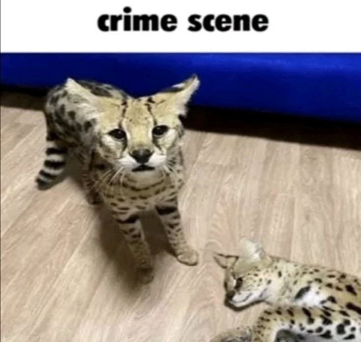 Crimen - meme