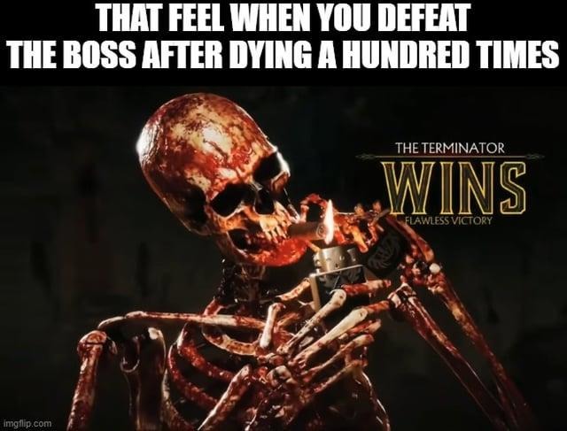 The terminator wins. Flawless victory - meme
