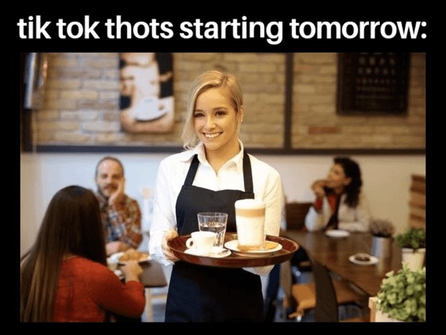 Tiktokers joining the workforce - meme