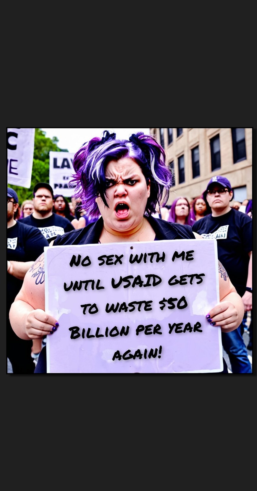 The left right now - meme