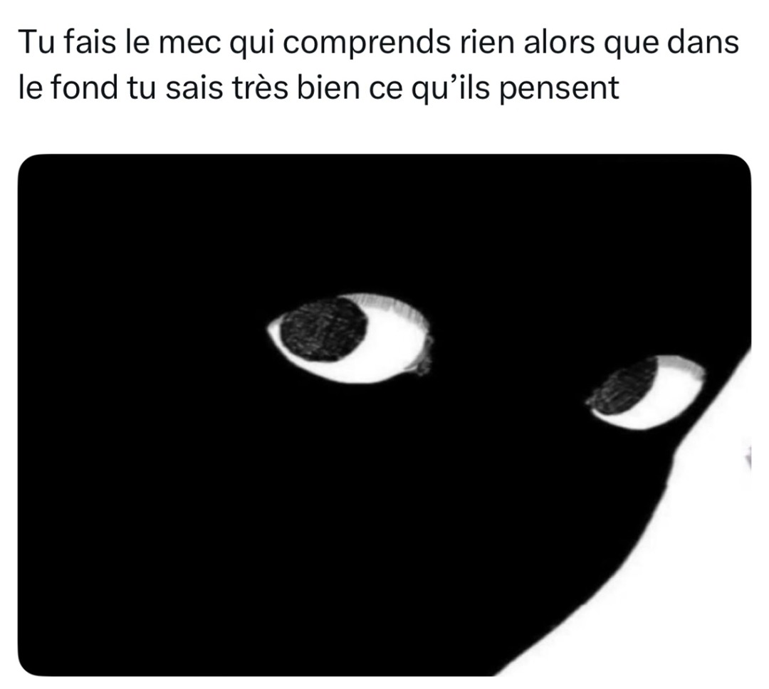 Faire genre de rien comprendre… alors que t’as tout capté - meme