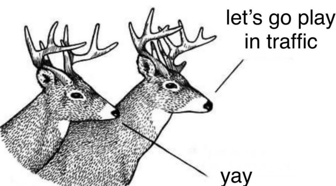 every, damn, night. - meme