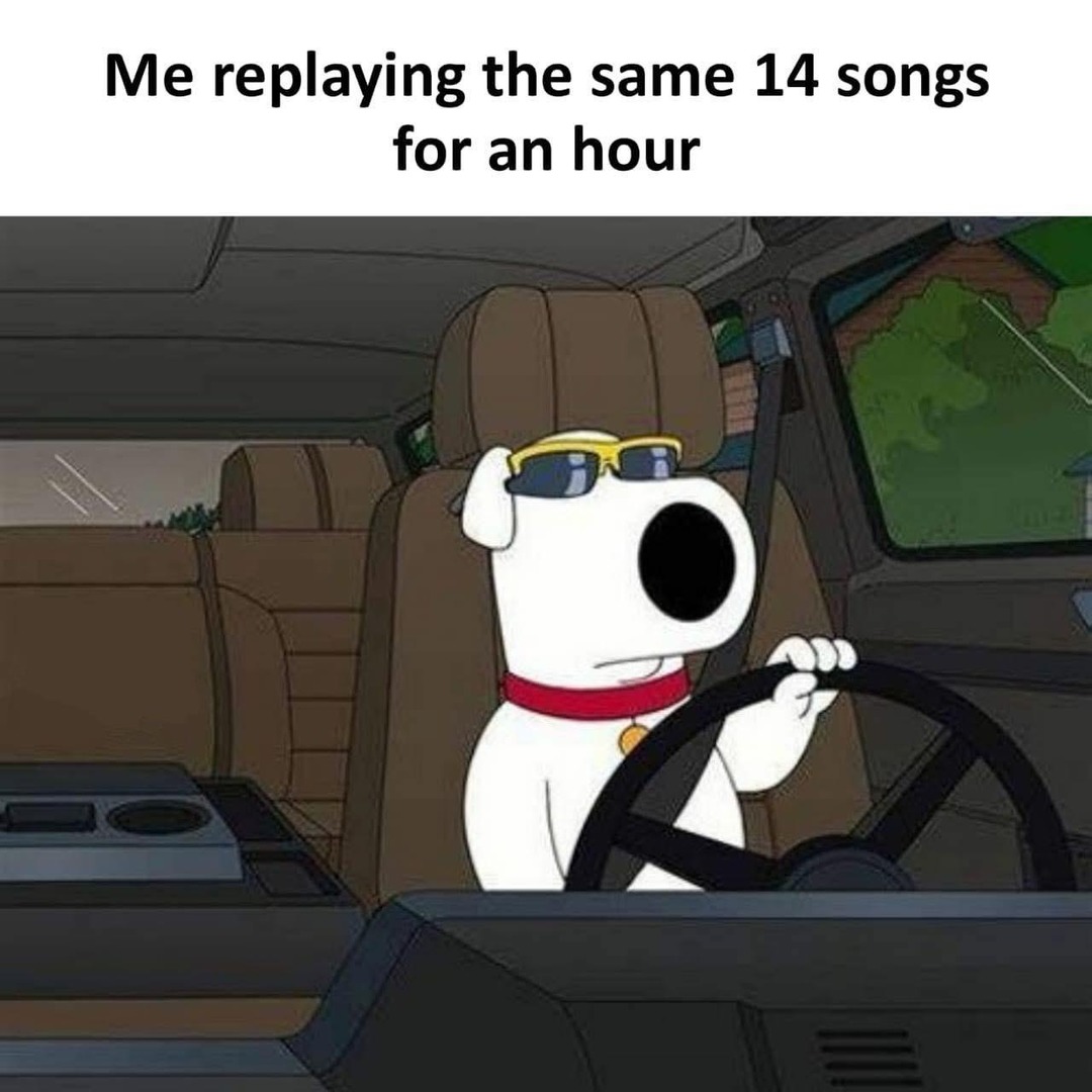 Me vibing to the same 14 songs for hours - meme