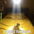 Quest Cat. A quest for Originals. and this is original. Hi Zenos :)