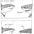 Shark stroke