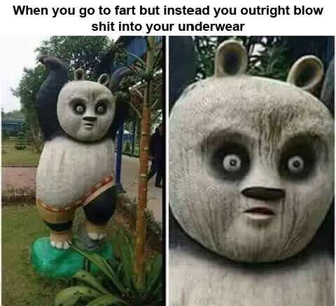 When you go to fart but instead you outright blow shit into your underwear - meme