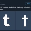 Tumblr before and after banning all adult content