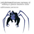 Spiderman peruano