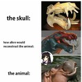 E se os dinossauros foram diferentes?