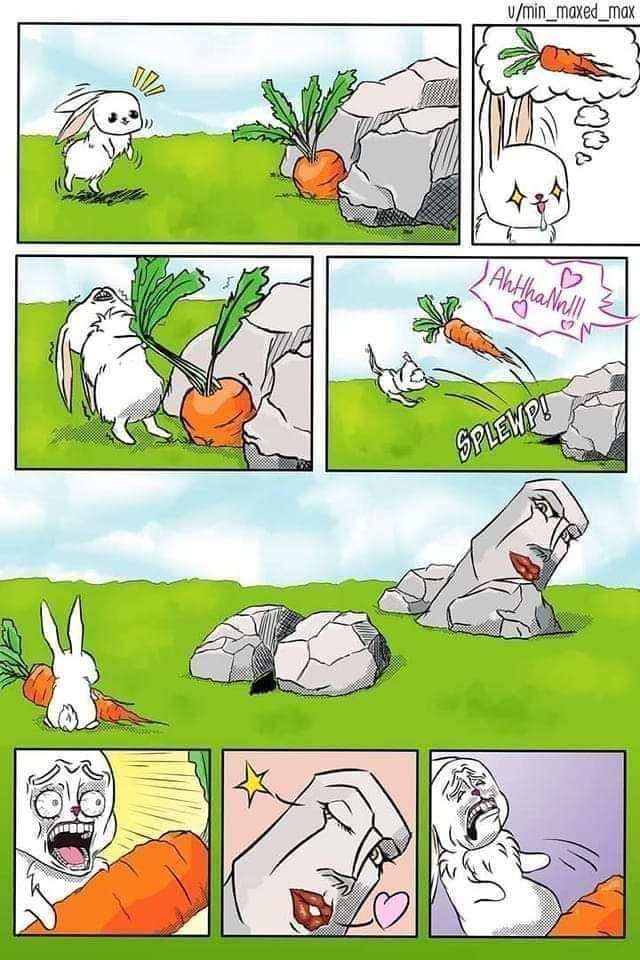 Rabbit - meme
