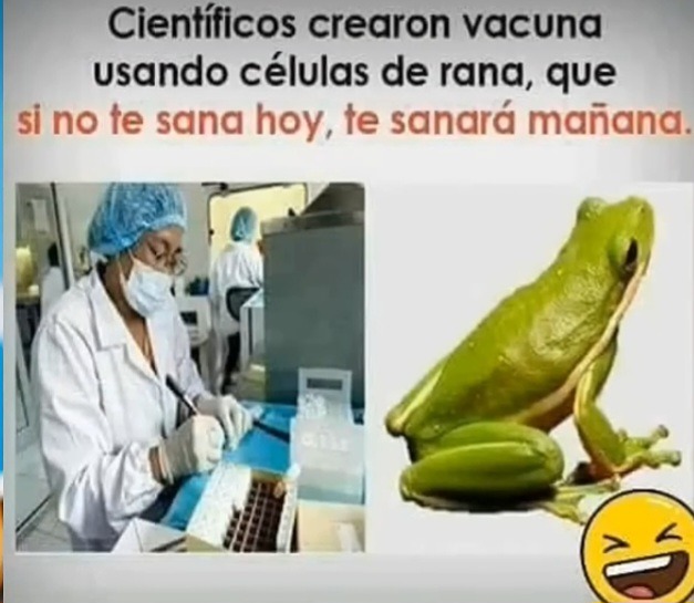 Sana sana colita de rana - meme