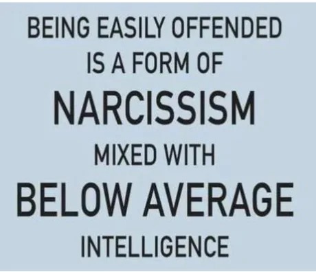 Being easily offended is - meme