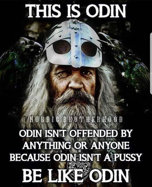 Be like Odin - meme