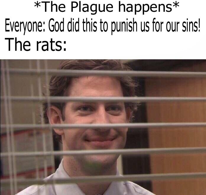 rat - meme