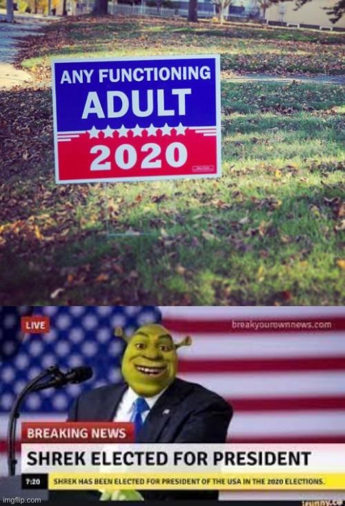 the president we need - meme