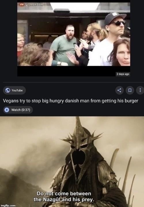 Do not come between the Nazgul and his prey - meme