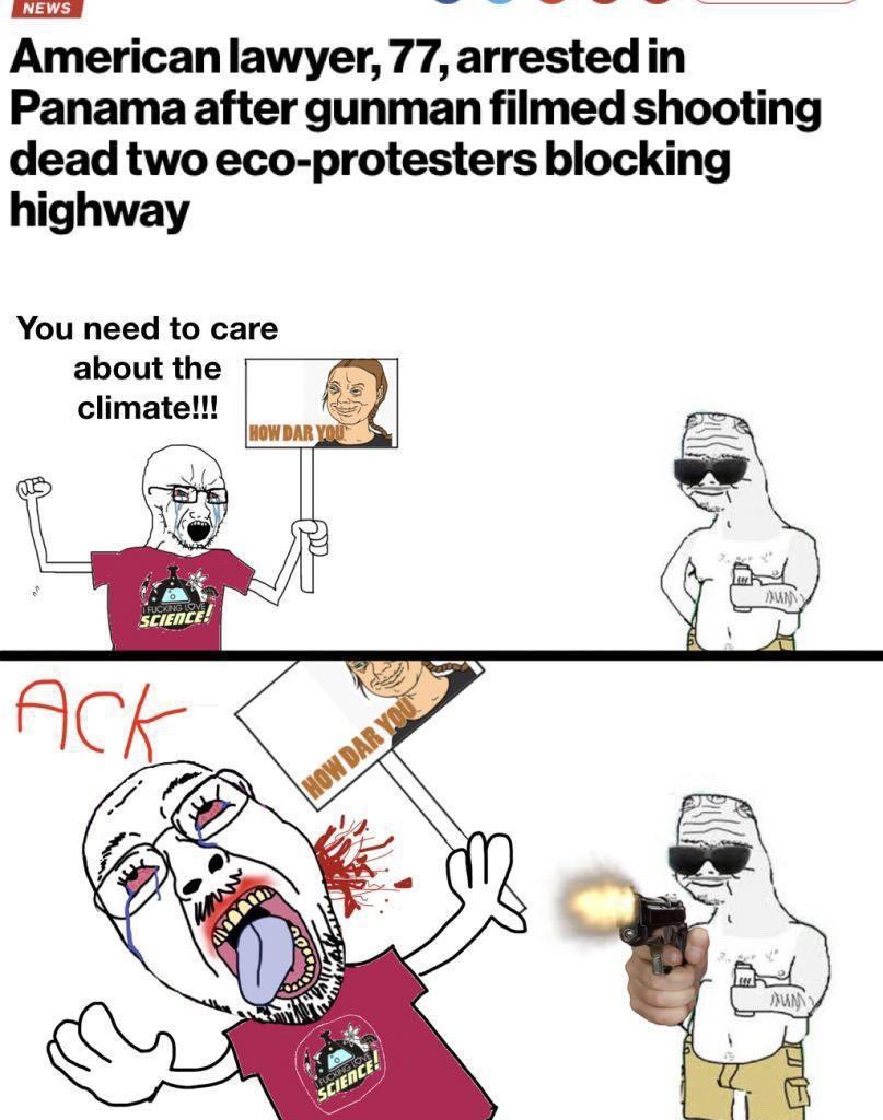 dongs in a protest - meme