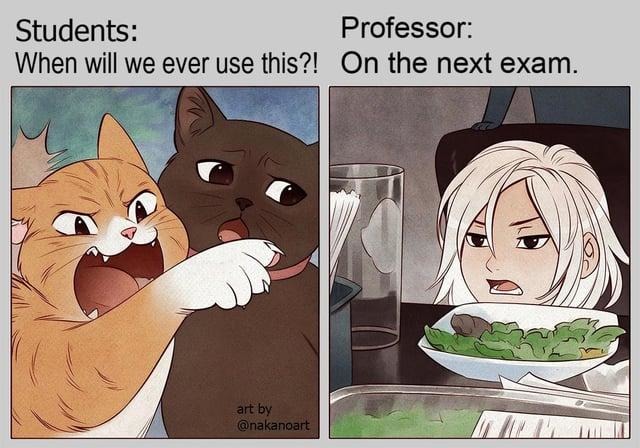 When the prof says you'll use it in real life... and means the next exam - meme
