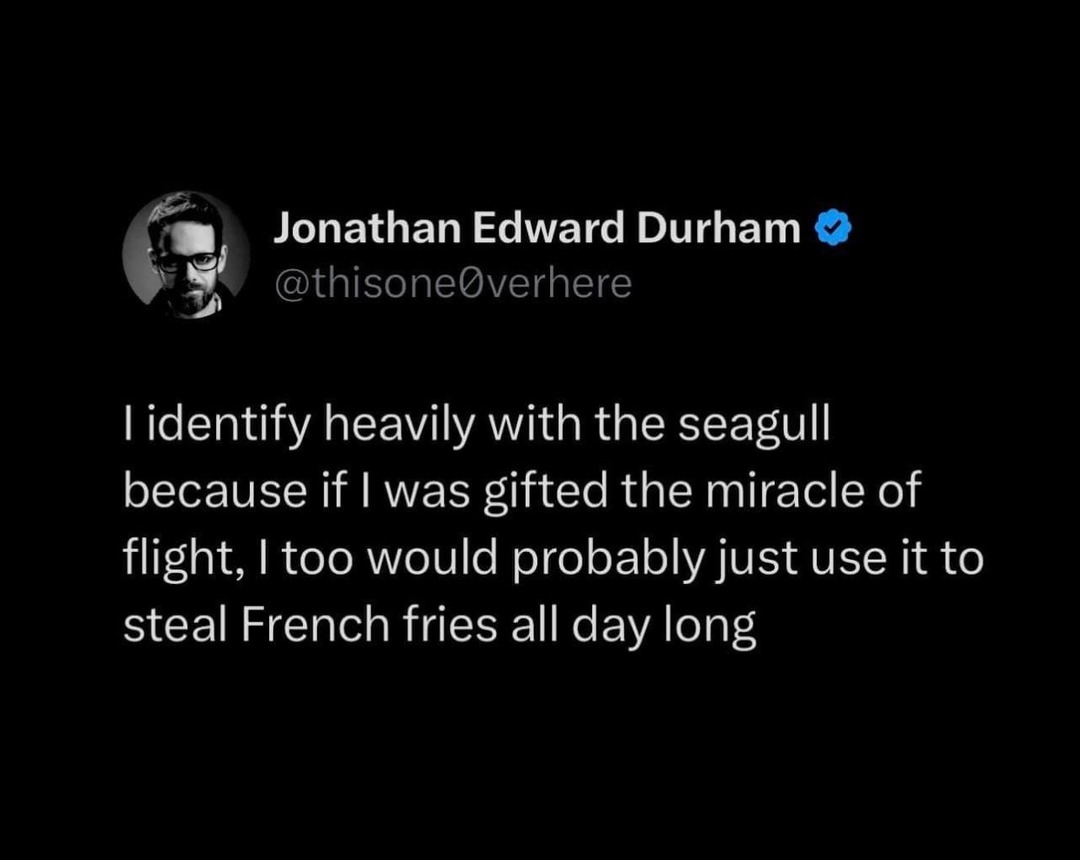 If I had wings I'd only steal fries too, seagull life - meme