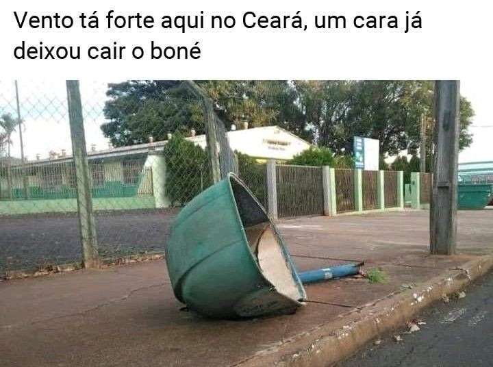 Cearense cabeçudo - meme